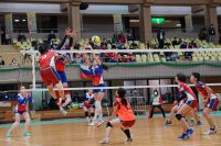 mixed volleyball world cup mvwc2020